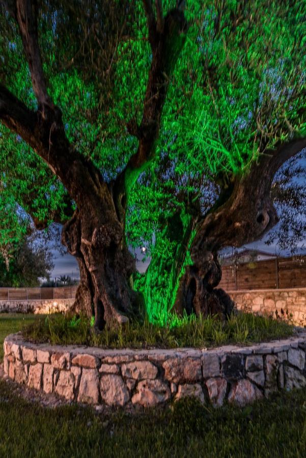 Kalamákion Green Stone Villas Apartments מראה חיצוני תמונה